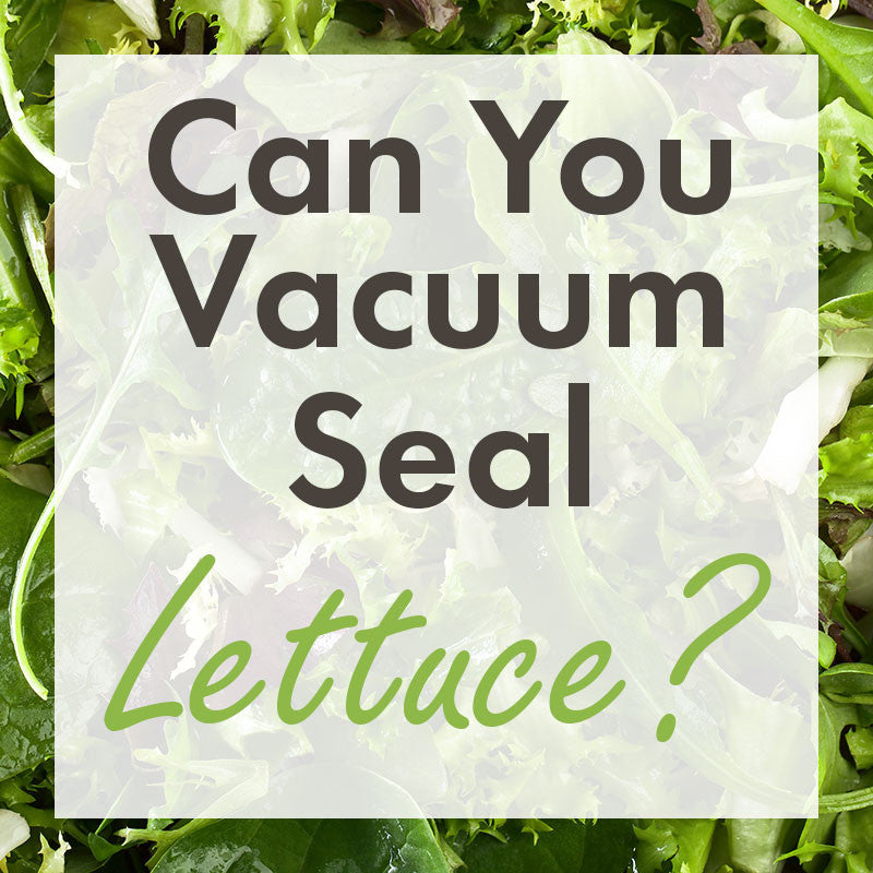 Can You Vacuum Seal Lettuce: Expert Tips to Keep It Fresh Longer