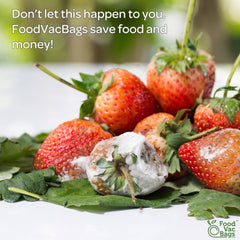 Stop Food Spoil with FoodVacBags Vacuum Sealer Bags