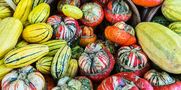 Three Types of Squash to Add to Your Fall Grocery List