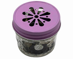 Daisy Lids for Regular Mouth Mason Jars