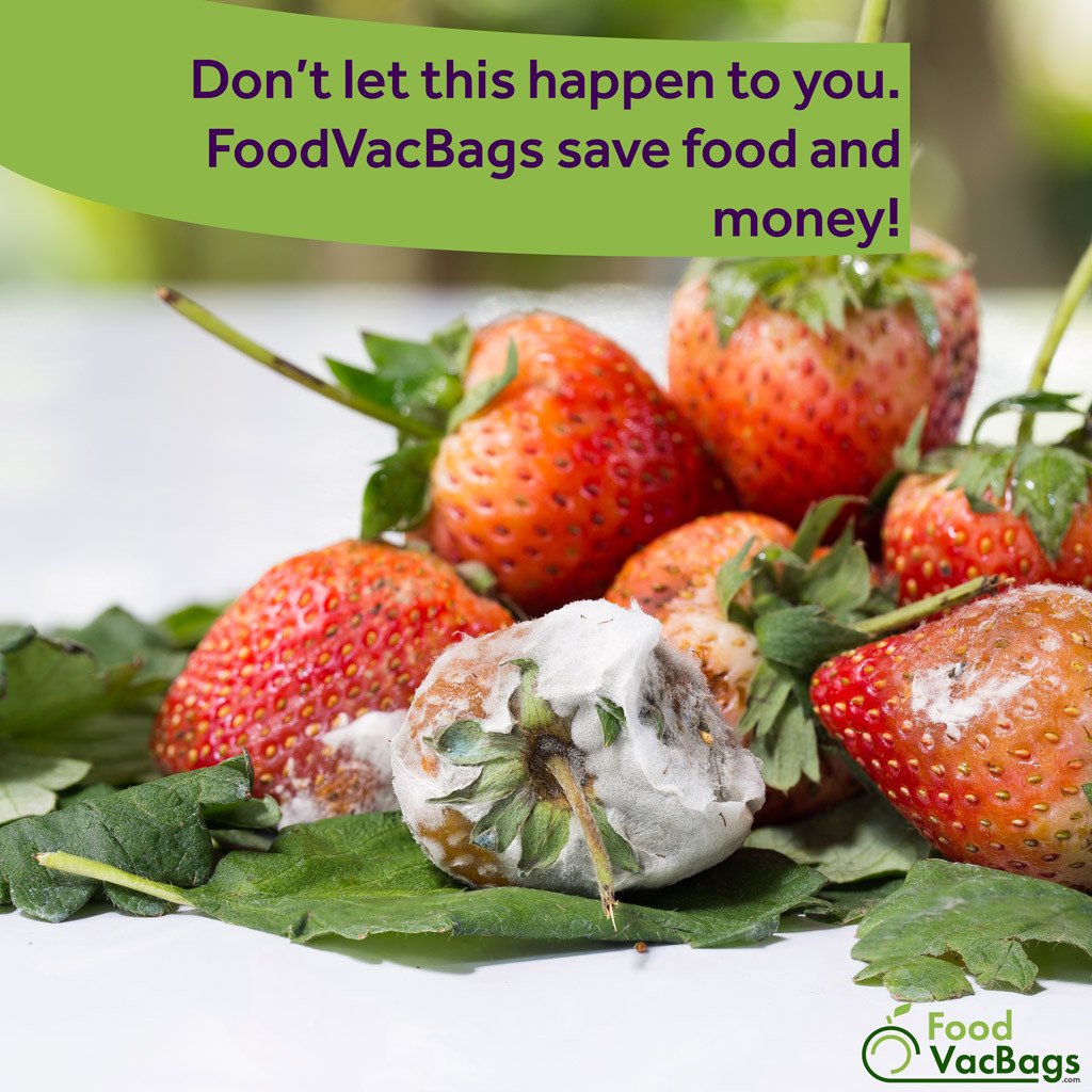 Stop Food Spoil, Food Waste with FoodVacBags Vacuum Sealer Bags and Rolls
